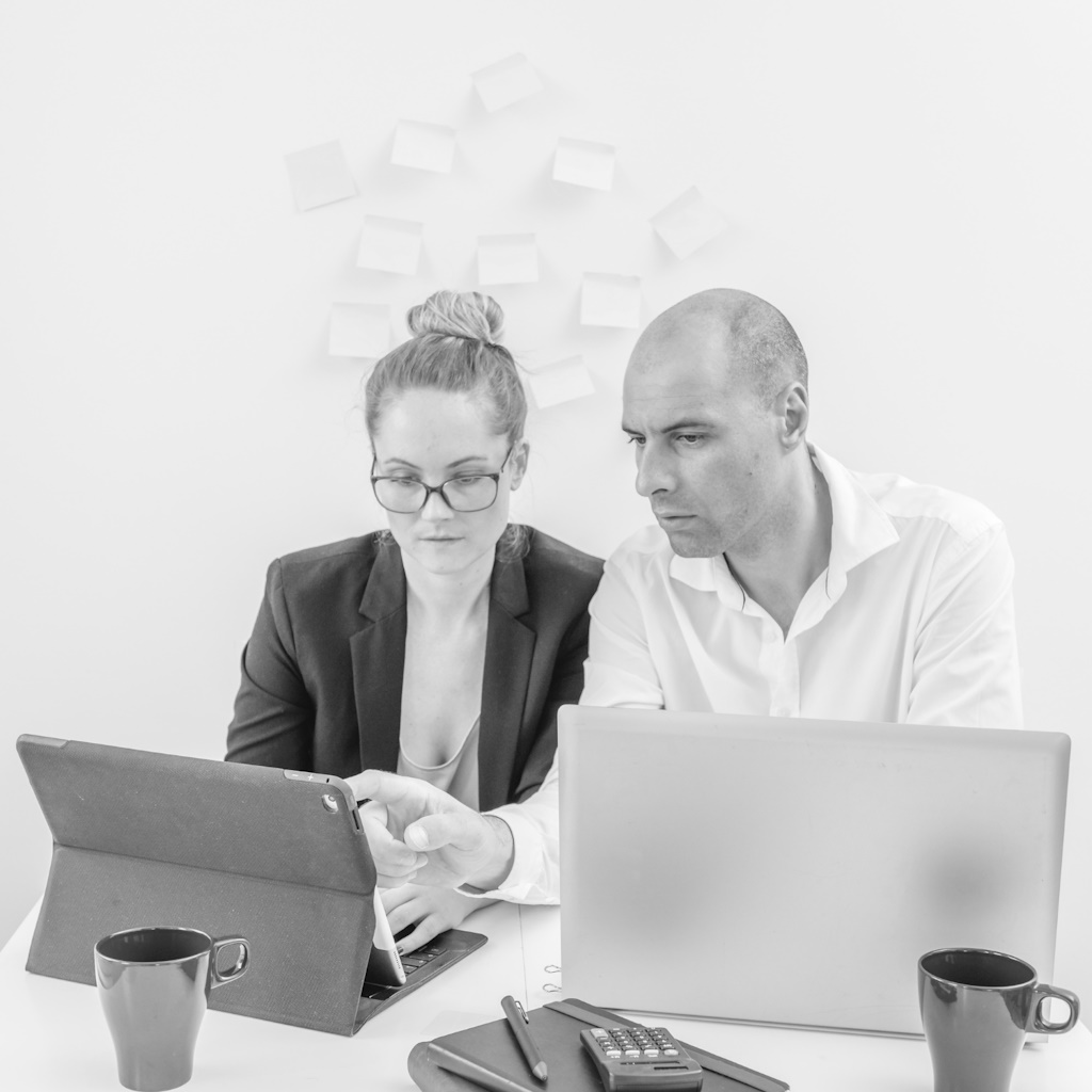 Consulting Expertise